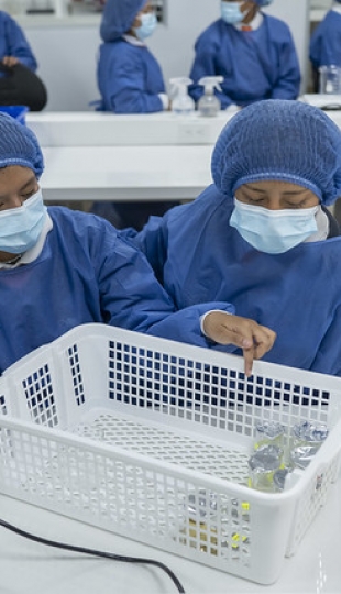 Talleres Académicos de Bioquímica y Farmacia y Geología