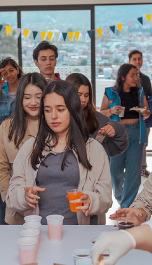 Voluntariado Idente UTPL 2025 Voluntariado Idente UTPL 2025