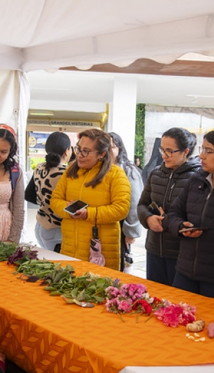 Inti Raymi de las universidades y diversidades 2025. Jornadas de curación y saberes Inti Raymi de las universidades y diversidades 2025. Jornadas de curación y saberes