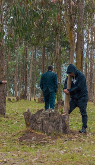 IntegralMente | Caminata Terapeútica