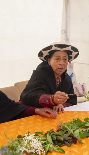 Inti Raymi de las universidades y diversidades 2025. Jornadas de curación y saberes Inti Raymi de las universidades y diversidades 2025. Jornadas de curación y saberes