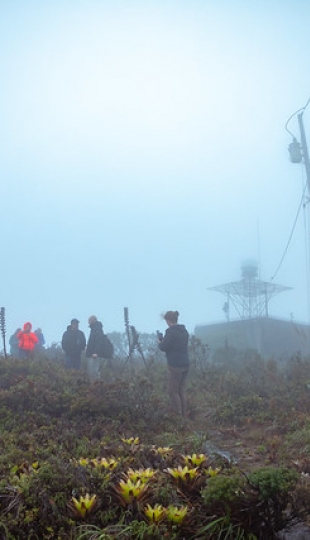 Simposio investigativo ecuatoriano-alemán