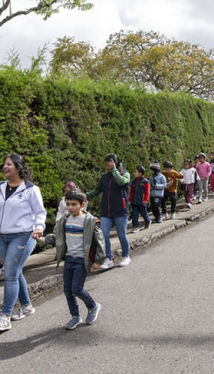 Colonias Vacacionales UTPL 2025