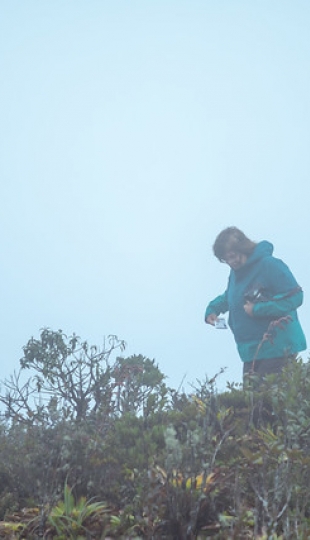 Simposio investigativo ecuatoriano-alemán