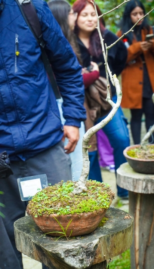 Liter-natura: escritura desde la experiencia con la naturaleza