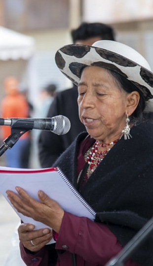 Inti Raymi de las universidades y diversidades 2025. Jornadas de curación y saberes