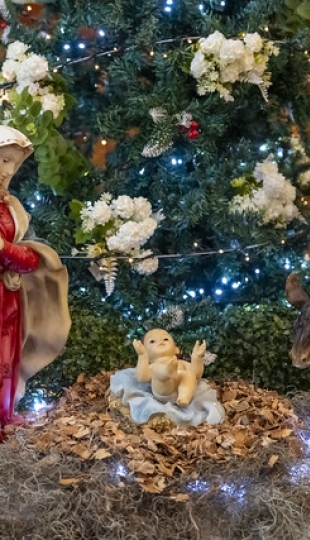 Navidad UTPL 2025 | Novena  Estudiantil