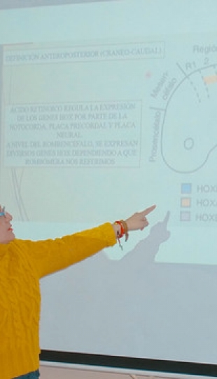 Proyecto de prevención de anomalías congénitas. Una estrategia de aprendizaje aplicado a la asignatura de embriología