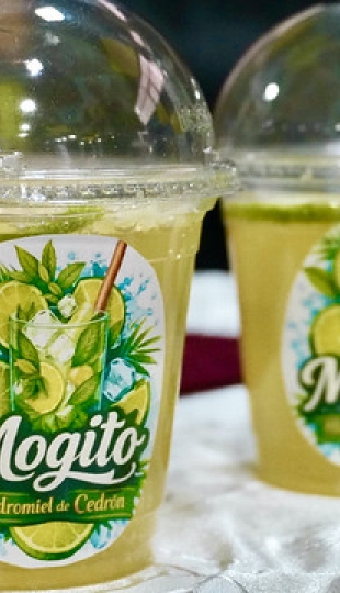 Bebidas herbales fermentadas