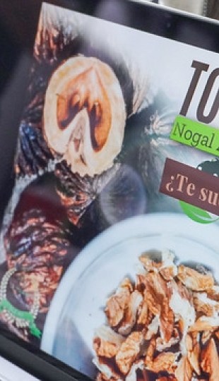 De la tradición a la bioeconomía: Propuesta para bioemprendimientos sostenibles basados en productos no maderables del Tundo.