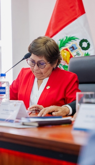 Encuentro Binacional Ecuador – Perú | AUSENP - RETUEP Encuentro Binacional Ecuador – Perú | AUSENP - RETUEP