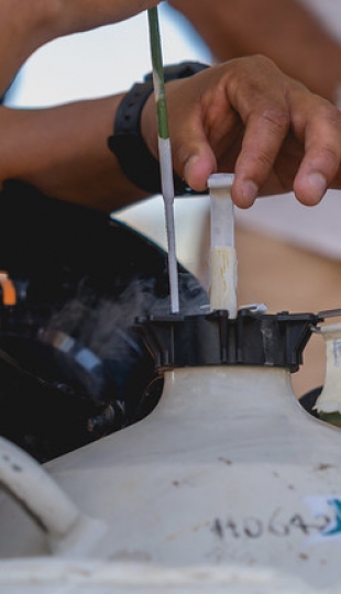 MAGAP entrega embriones bovinos y paquetes tecnológicos a UTPL MAGAP entrega embriones bovinos y paquetes tecnológicos a UTPL