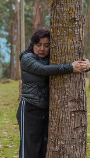 IntegralMente | Caminata Terapeútica