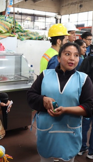 Evaluación de Riesgos Psicosociales en trabajadores informales Evaluación de Riesgos Psicosociales en trabajadores informales