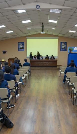 “Programa Lúdico-Terapéutico Basado en Títeres”