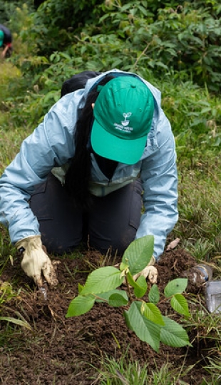 Reforestación en Cajanuma en alianza con Cascos Verdes