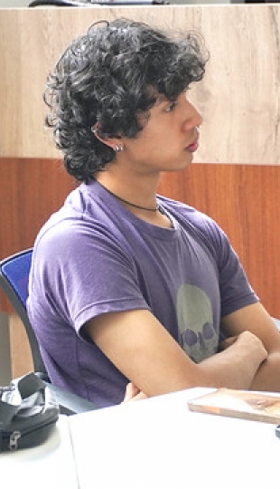 Creación de un Portfolio Digital para obra pictórica con identidad local