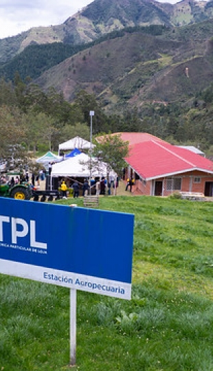 Feria Agropecuaria y VIII Concurso Semilla de Oro