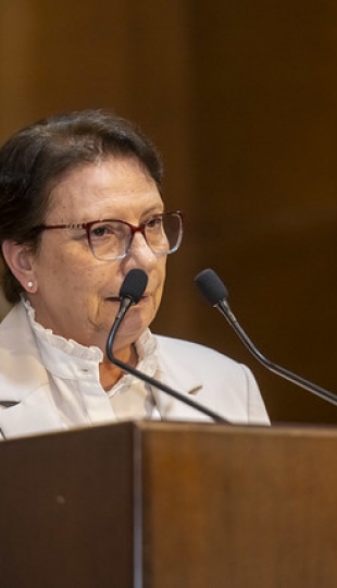 I Festival de Villancicos en inglés "Bells & Voices" I Festival de Villancicos en inglés "Bells & Voices"