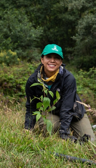 Reforestación en Cajanuma en alianza con Cascos Verdes