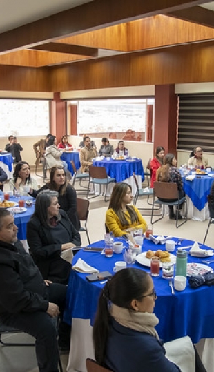 Socialización proyecto GEM 2024