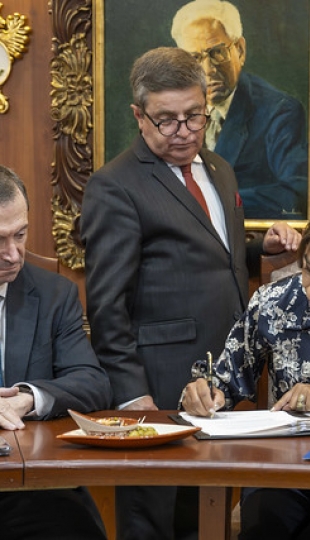 Posesión de Representantes al Cogobierno 2026