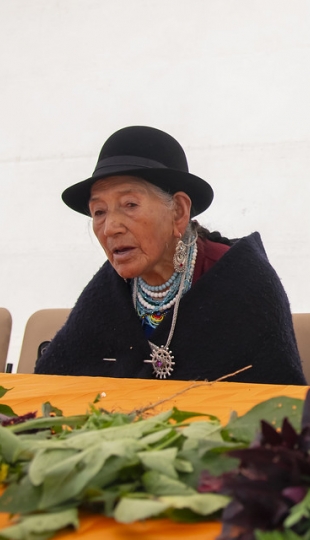 Inti Raymi de las universidades y diversidades 2025. Jornadas de curación y saberes Inti Raymi de las universidades y diversidades 2025. Jornadas de curación y saberes