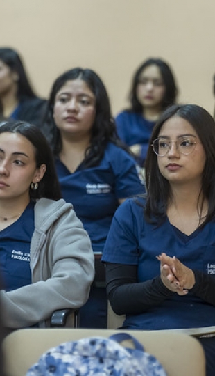 “Programa Lúdico-Terapéutico Basado en Títeres”