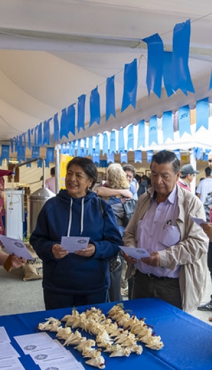Inauguración de la propuesta institucional UTPL en el FIAVL 2025 Inauguración de la propuesta institucional UTPL en el FIAVL 2025