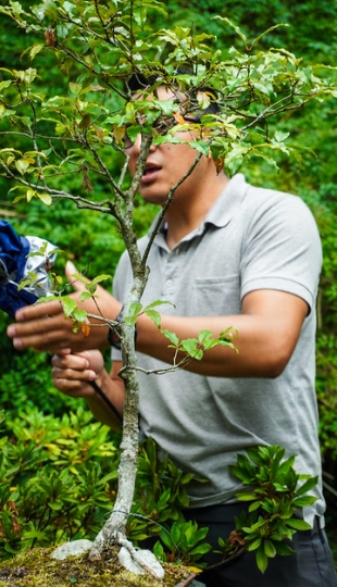 Liter-natura: escritura desde la experiencia con la naturaleza