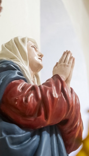 Misión Idente Profesional Taquil 2026