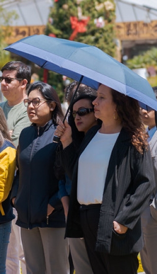 Día de la Inmaculada Concepción de la Virgen María