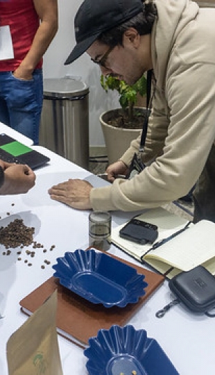 Campeonato Internacional de Tueste