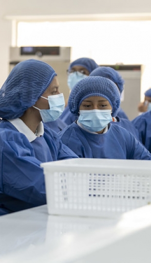 Talleres Académicos de Bioquímica y Farmacia y Geología Talleres Académicos de Bioquímica y Farmacia y Geología