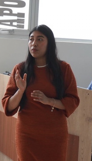 Creación de Contenido Informativo y Educativo sobre Suelo Pélvico mediante la plataforma de "TIK-TOK"  para la promoción de la conciencia y el bienestar FISIOPELVIS-DIGITAL