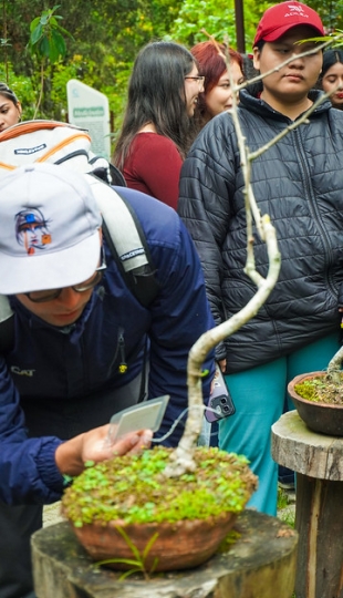 Liter-natura: escritura desde la experiencia con la naturaleza