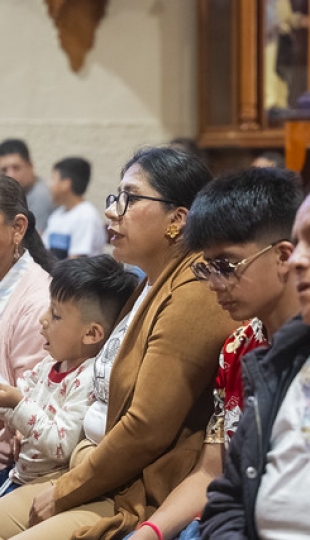 Misión Idente Profesional Taquil 2026