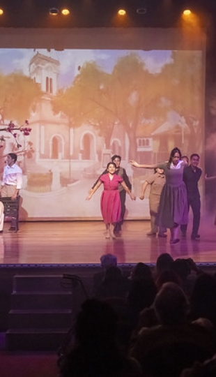 Musical  "A la sombra del arupo"