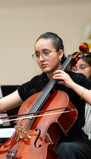 Festival Internacional SINFIN Armonía 2025
