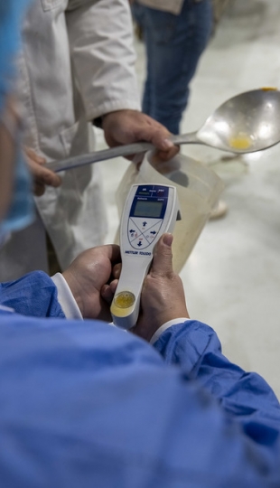Talleres de innovación en alimentos Talleres de innovación en alimentos