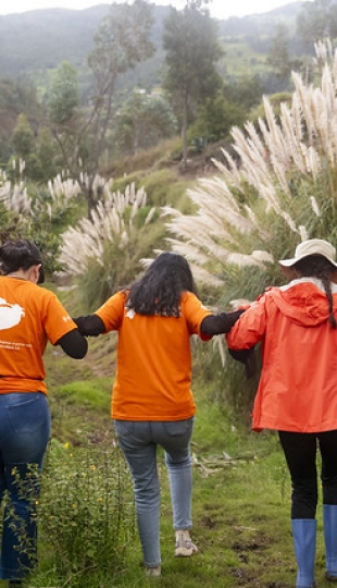 Misión Idente Profesional Taquil 2026