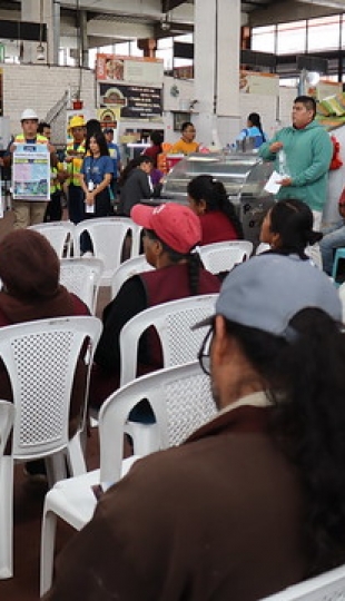 Evaluación de Riesgos Psicosociales en trabajadores informales