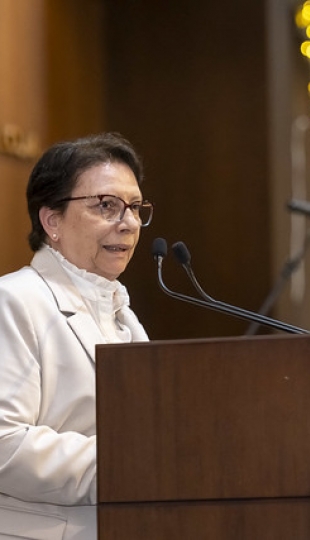 I Festival de Villancicos en inglés "Bells & Voices" I Festival de Villancicos en inglés "Bells & Voices"