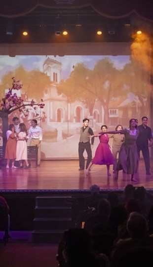 Musical  "A la sombra del arupo"