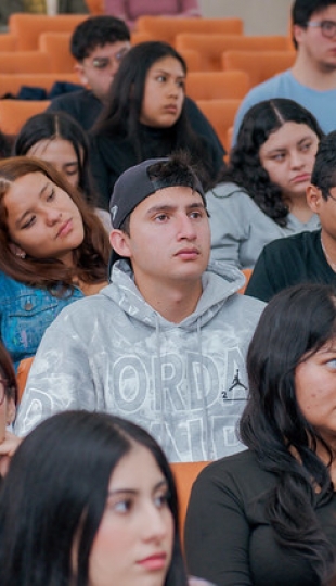 Taller académico Alimentos funcionales