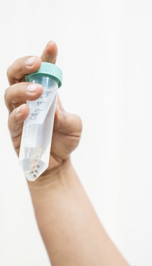 Internacionalización | Carrera de Biología