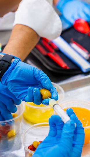 Concurso de gastronomía en la Semana del Estudiante "Fernando Rielo 2025"