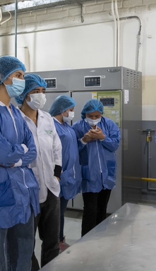Talleres de innovación en alimentos