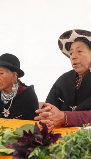 Inti Raymi de las universidades y diversidades 2025. Jornadas de curación y saberes Inti Raymi de las universidades y diversidades 2025. Jornadas de curación y saberes