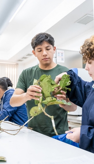 Internacionalización | Carrera de Biología